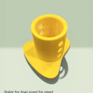 Placeholder